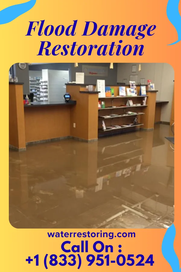 Flood Damage Restoration in Newport News, VA