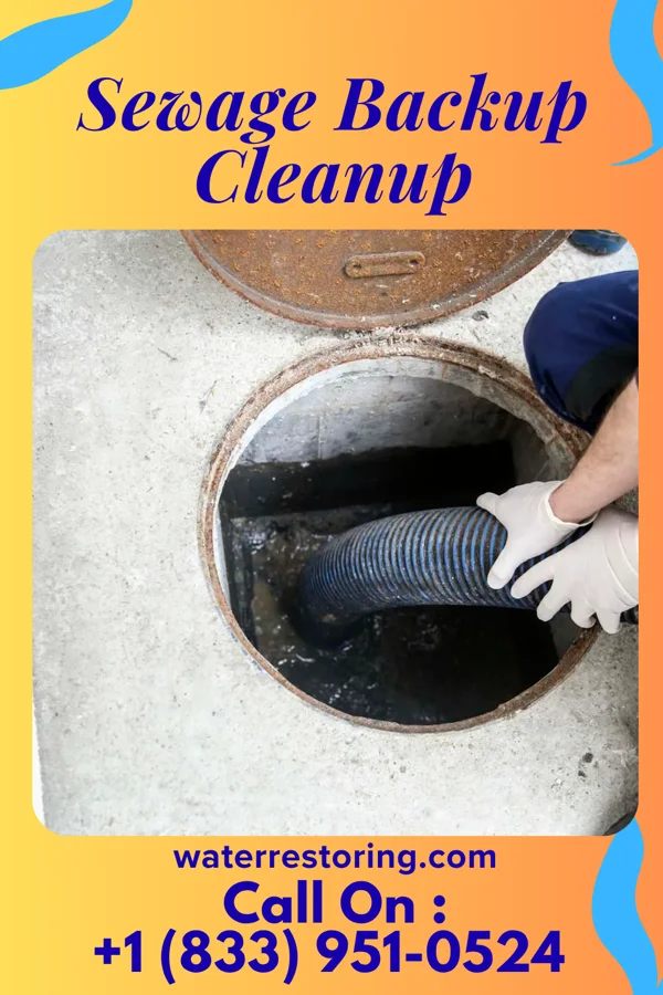 Sewage Backup Cleanup in Newport News, VA